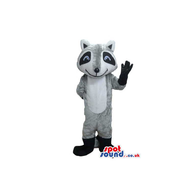 Grey and white koala with blue eyes and black boots and gloves