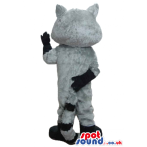 Grey and white koala with blue eyes and black boots and gloves