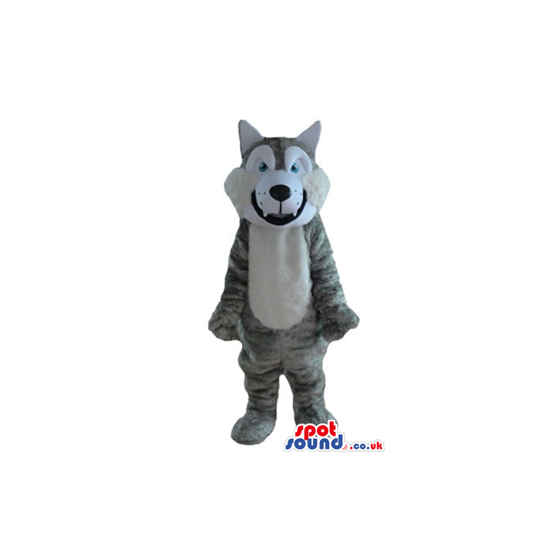 Grey and white wolf with light-blue eyes - Custom Mascots