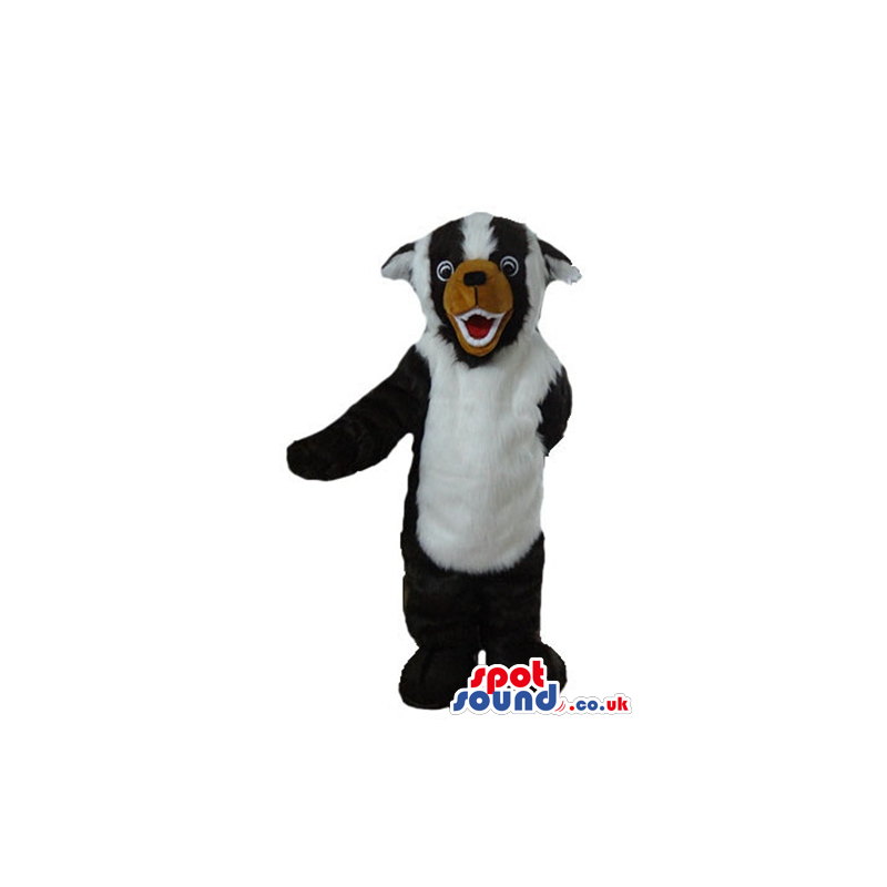 Black and white moffet with a brown nose - Custom Mascots