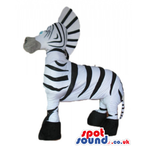 zebra with black feet - your mascot in a box! - Custom Mascots