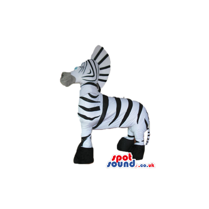 zebra with black feet - your mascot in a box! - Custom Mascots