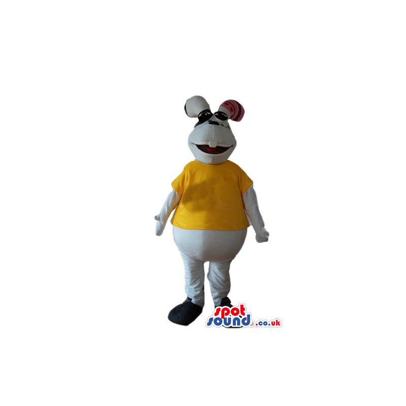 White rabbit wearing a yellow t-shirt and black trainers -