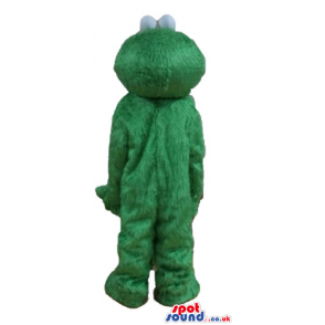 Green furry monster with a round yellow nose and round eyes