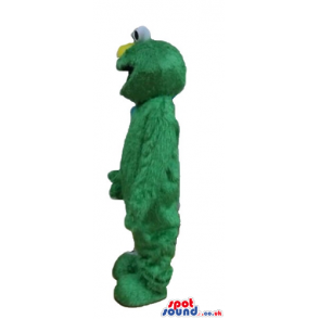 Green furry monster with a round yellow nose and round eyes