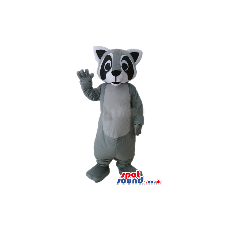 Mascot costume of a grey koala with big eyes - Custom Mascots