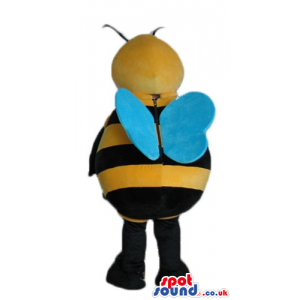 Bee with black arms and legs with blond hair and blue eyes -