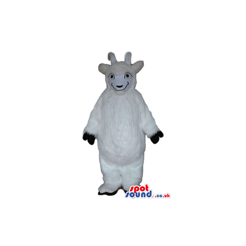 Smiling white sheep with black feet - Custom Mascots