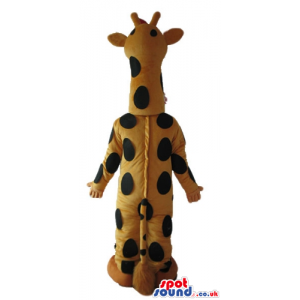 Giraffe with small blue eyes and yellow shoes - Custom Mascots