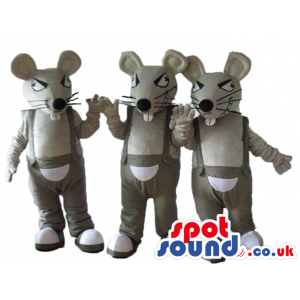 Three grey mice with white bellies, long moustaches, sharp
