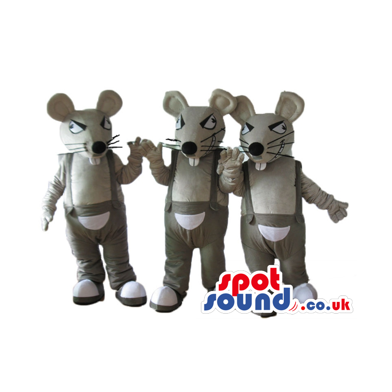 Three grey mice with white bellies, long moustaches, sharp