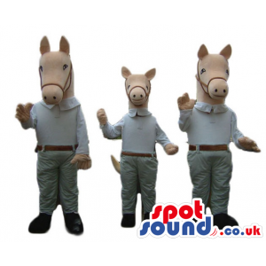 Three beige horses wearing a white shirt, grey trousers, a