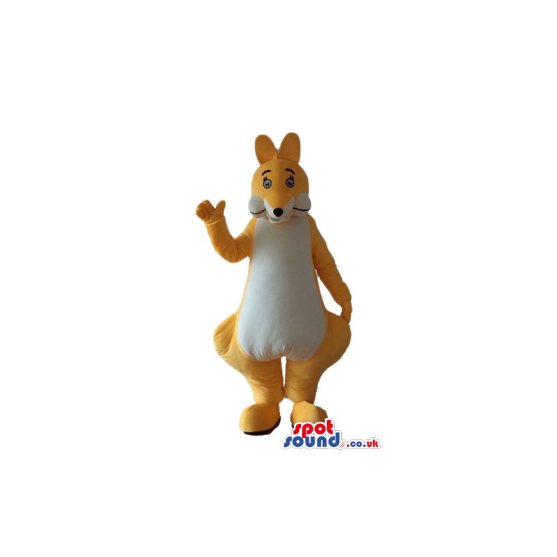 Yellow kangaroo with a white belly and yellow and white ears -