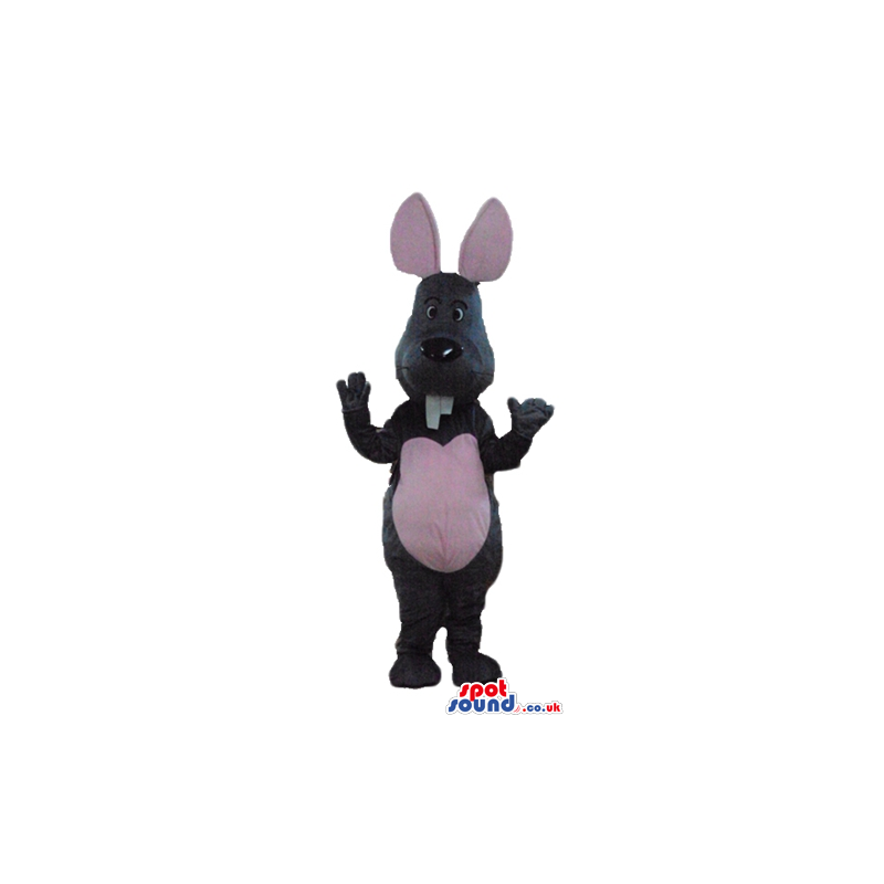 Grey mouse with pink ears and belly with big front teeth -