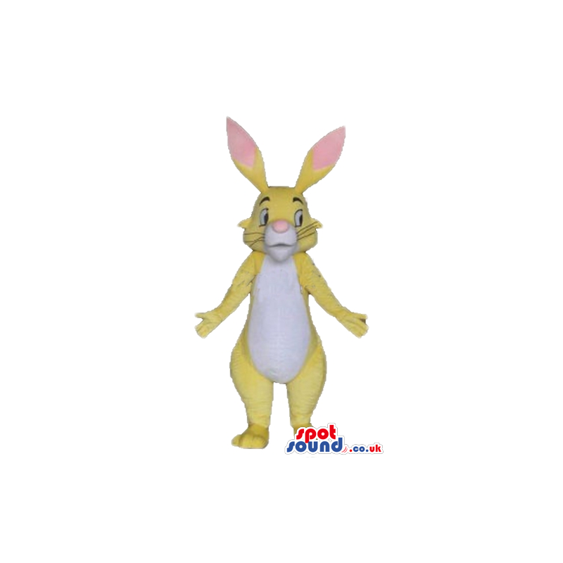 Yellow rabbit with yellow and pink ears and a white belly -