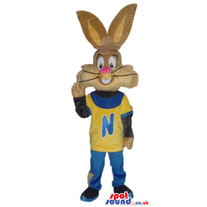 Brown rabbit wearing a black, yellow and blue shirt with an