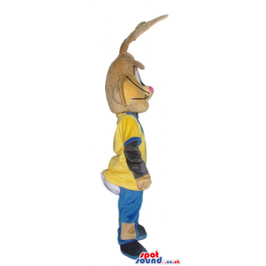 Brown rabbit wearing a black, yellow and blue shirt with an