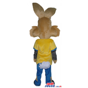 Brown rabbit wearing a black, yellow and blue shirt with an