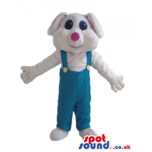 White rabbit with blue eyes and a pink nose wearing light blue