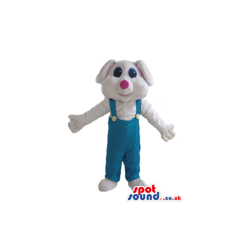 White rabbit with blue eyes and a pink nose wearing light blue