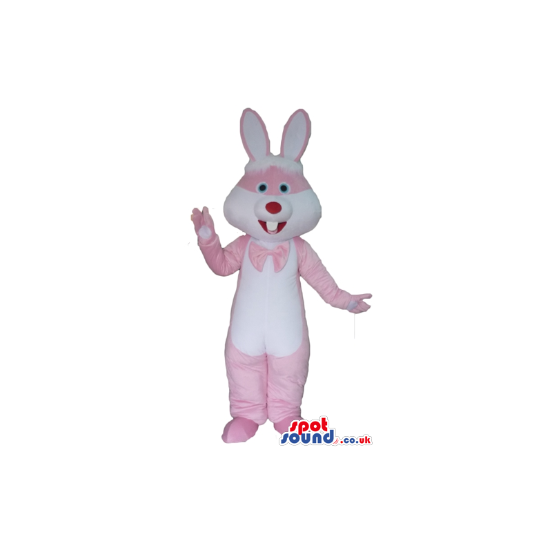 White and pink rabbit with a red nose and blue eyes wearing a