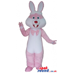 White and pink rabbit with a red nose and blue eyes wearing a