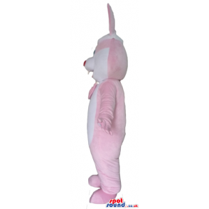 White and pink rabbit with a red nose and blue eyes wearing a