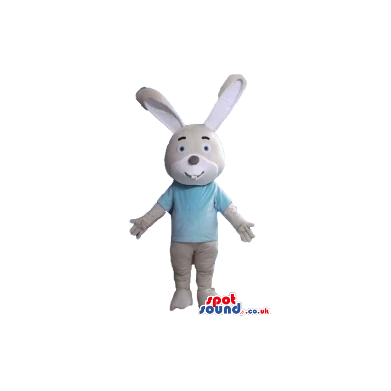 Beige and grey rabbit wearing a light-blue tshirt seen from