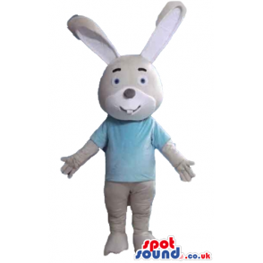 Beige and grey rabbit wearing a light-blue tshirt seen from