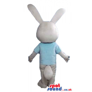 Beige and grey rabbit wearing a light-blue tshirt seen from