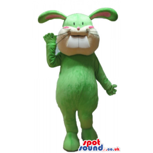 Green rabbit with two huge teeth and pink cheeks - Custom