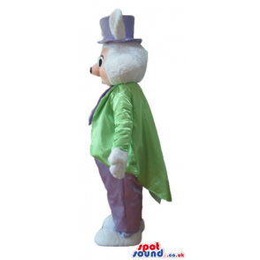Rabbit wearing a purple tophat, tie and trousers and a green
