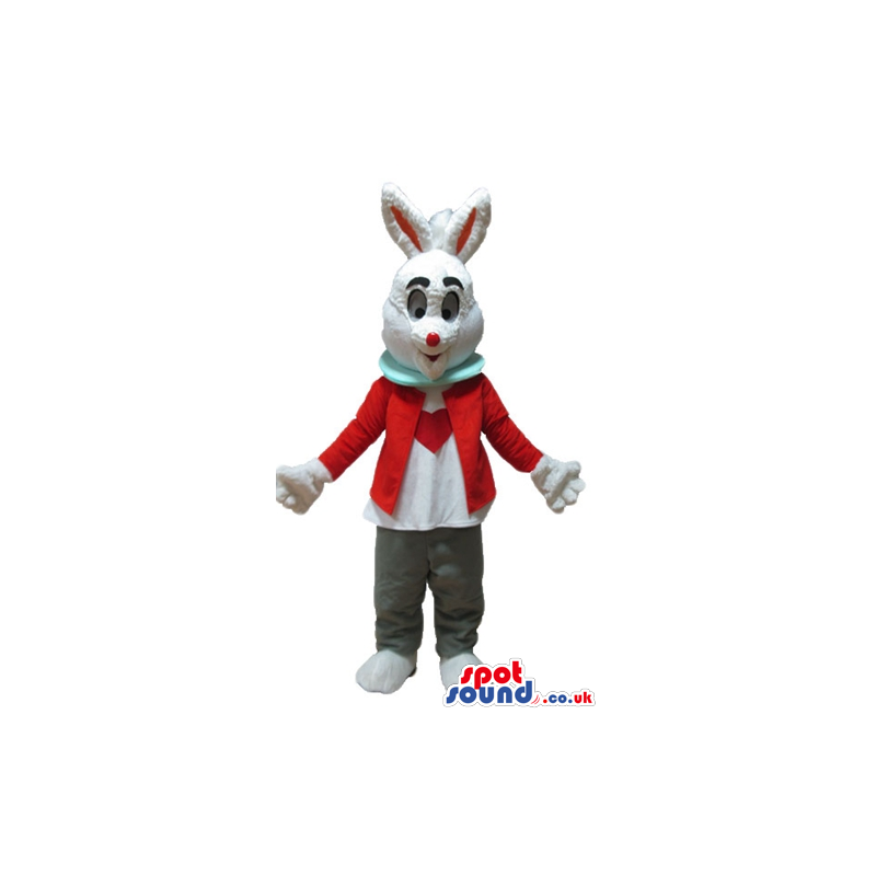 White rabbit with white and red ears wearing a white shirt with