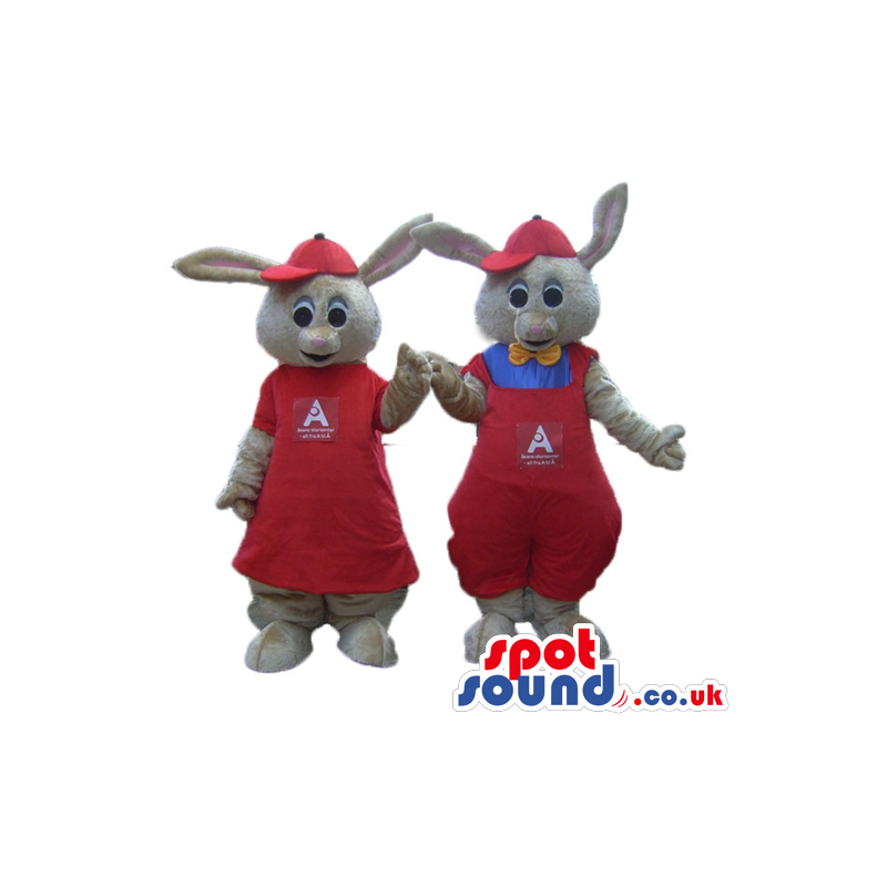 Twin grey mice wearing a red dress and cap and a blue shirt