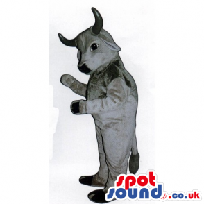 The Bull Mascot in a grey suit with a black hooves and tail -
