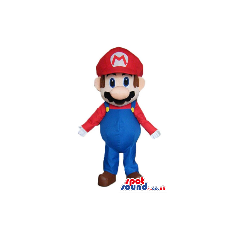 Mascot costume of super mario bros - Custom Mascots
