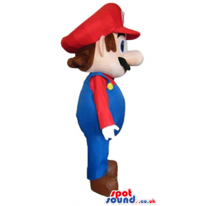 Mascot costume of super mario bros - Custom Mascots