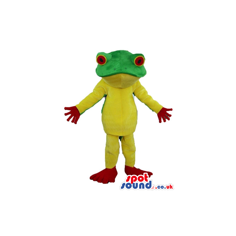 Yellow and green frog with big eyes and red hands and feet -