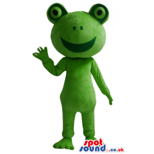 Smiling green frog - your mascot in a box! - Custom Mascots