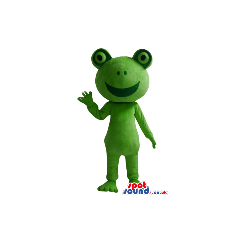 Smiling green frog - your mascot in a box! - Custom Mascots