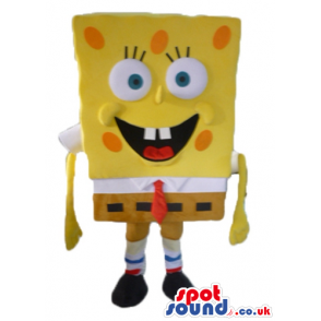 Smiling sponge bob - your mascot in a box! - Custom Mascots