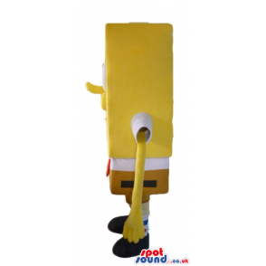 Smiling sponge bob - your mascot in a box! - Custom Mascots