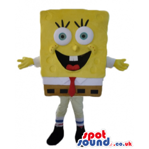 Smiling sponge bob - your mascot in a box! - Custom Mascots