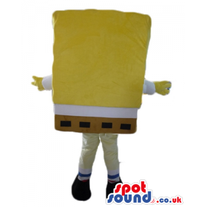Smiling sponge bob - your mascot in a box! - Custom Mascots