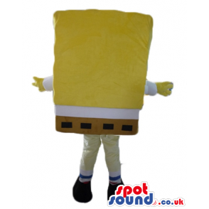 Smiling sponge bob - your mascot in a box! - Custom Mascots