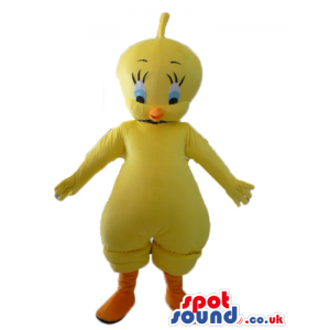 Yellow canary with orange beak and legs and blue eyes - Custom