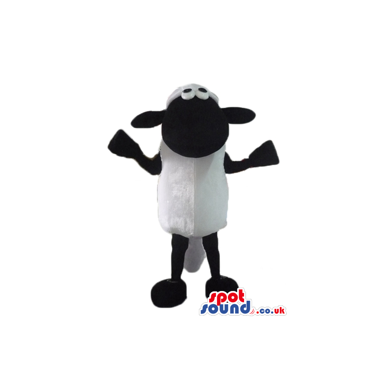 White sheep with black face, arms, legs, hands and feet -