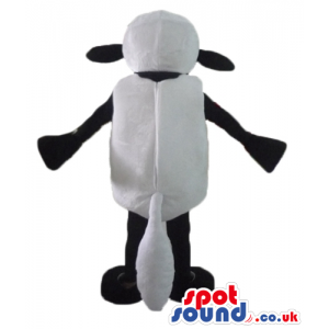 White sheep with black face, arms, legs, hands and feet -