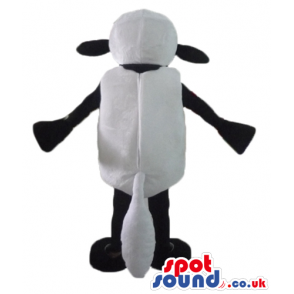 White sheep with black face, arms, legs, hands and feet -