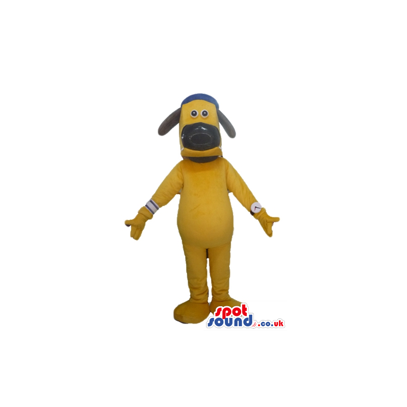 Yellow dog with a black nose and ears wearing a blue cap -